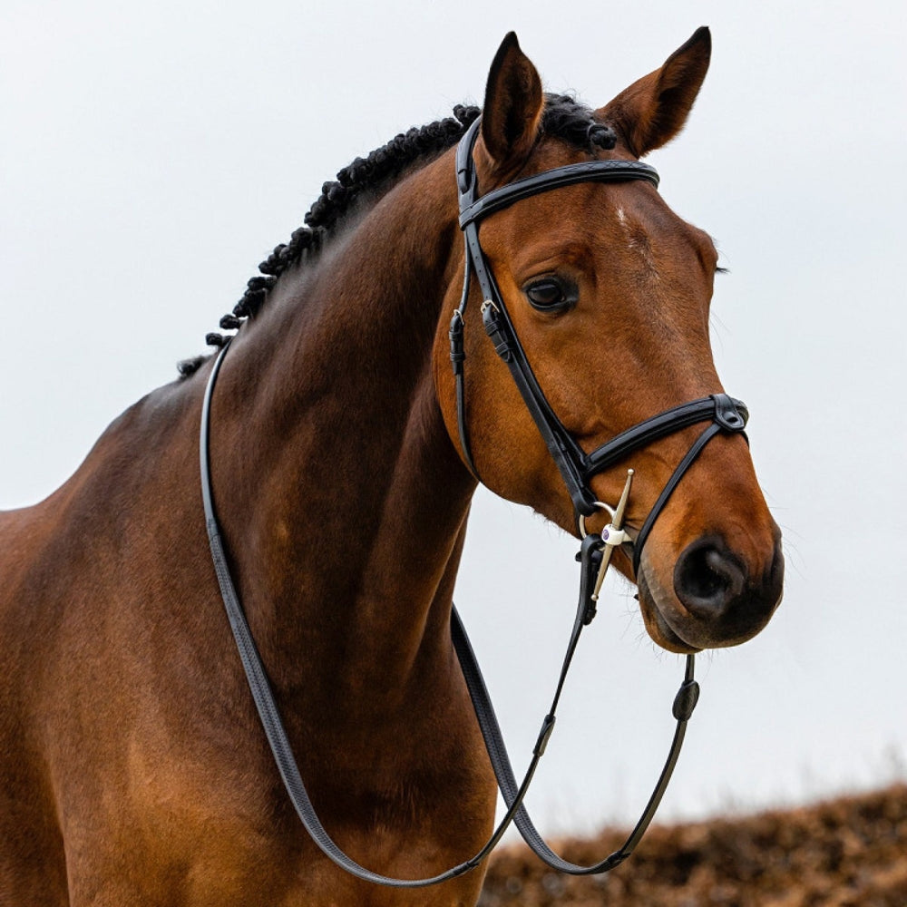 Geneva Noseband Bridle
