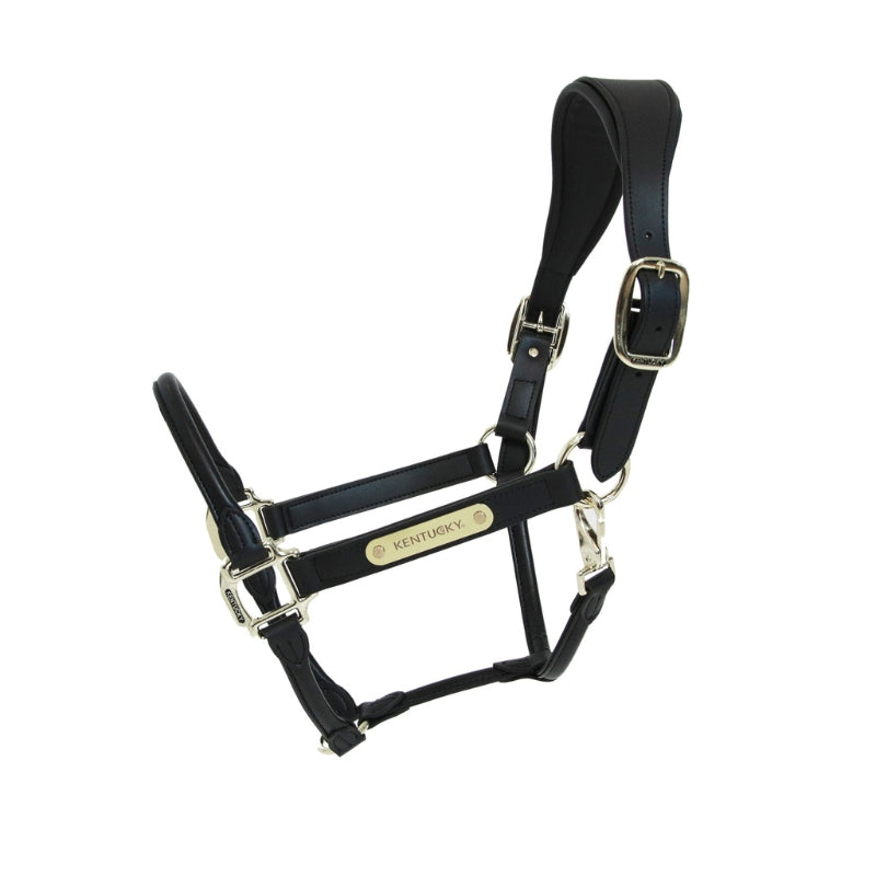Anatomic Leather Headcollar | Black