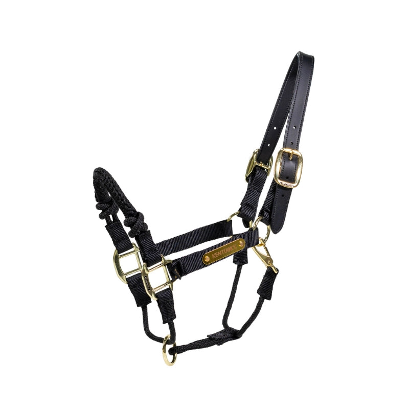 Control Headcollar | Black