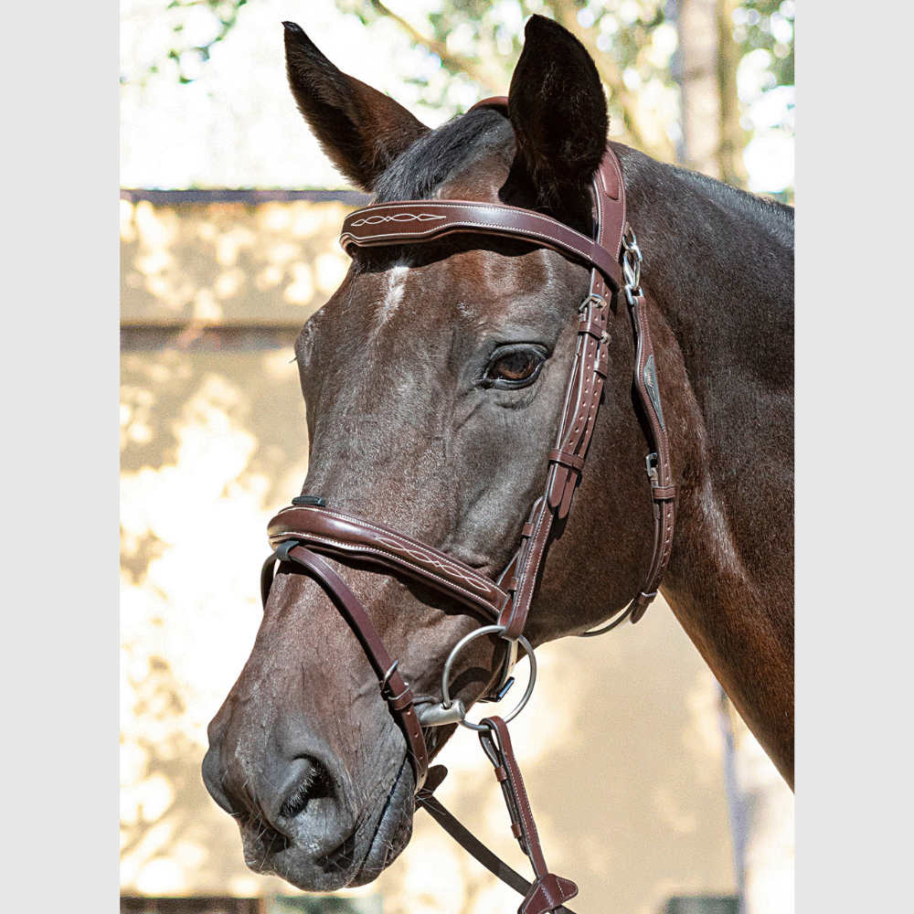 Ready To Ride Jumping Bridle | Brown