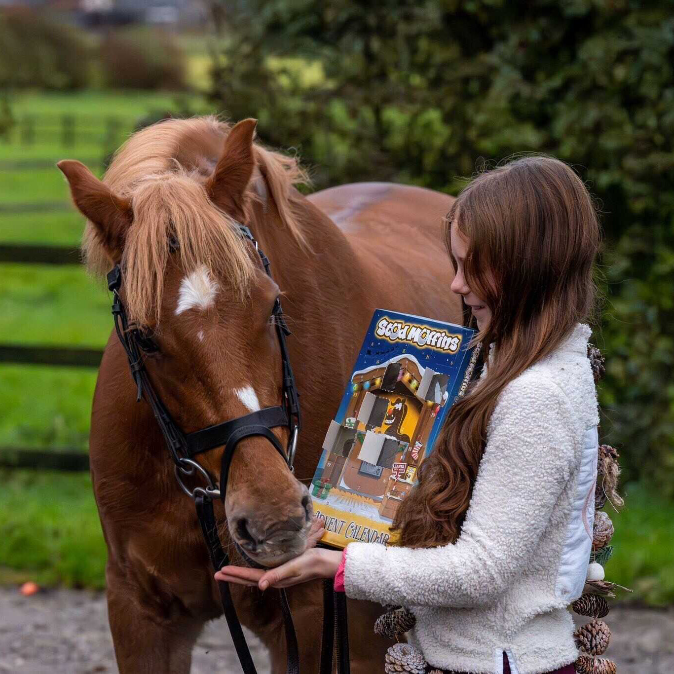 Stud Muffins Advent Calendar