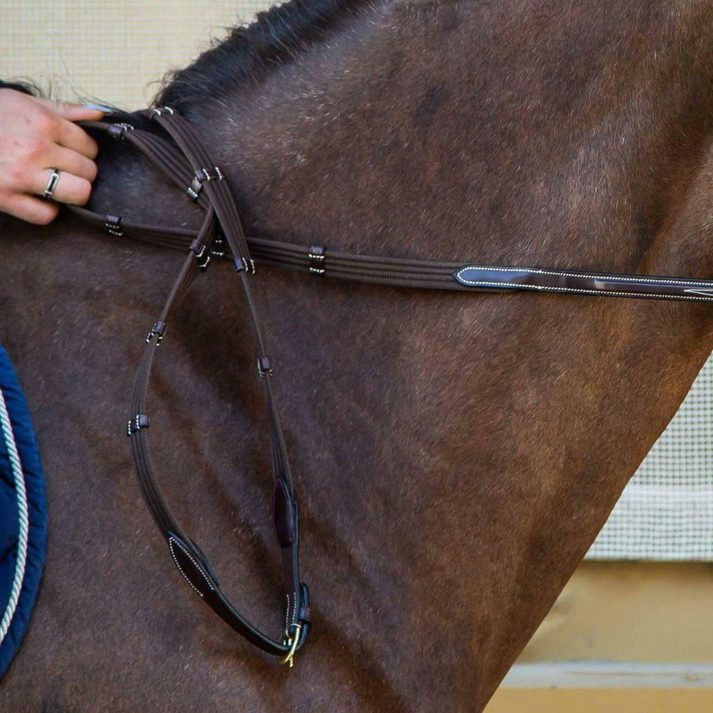 D Collection Web Reins