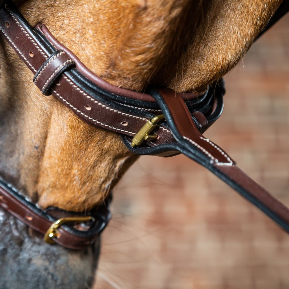 D Collection Standing Martingale Attachment