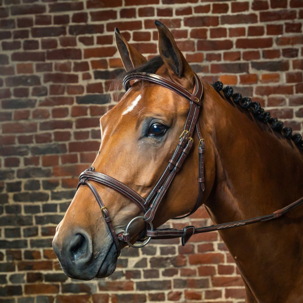 D Collection Flash Noseband Bridle
