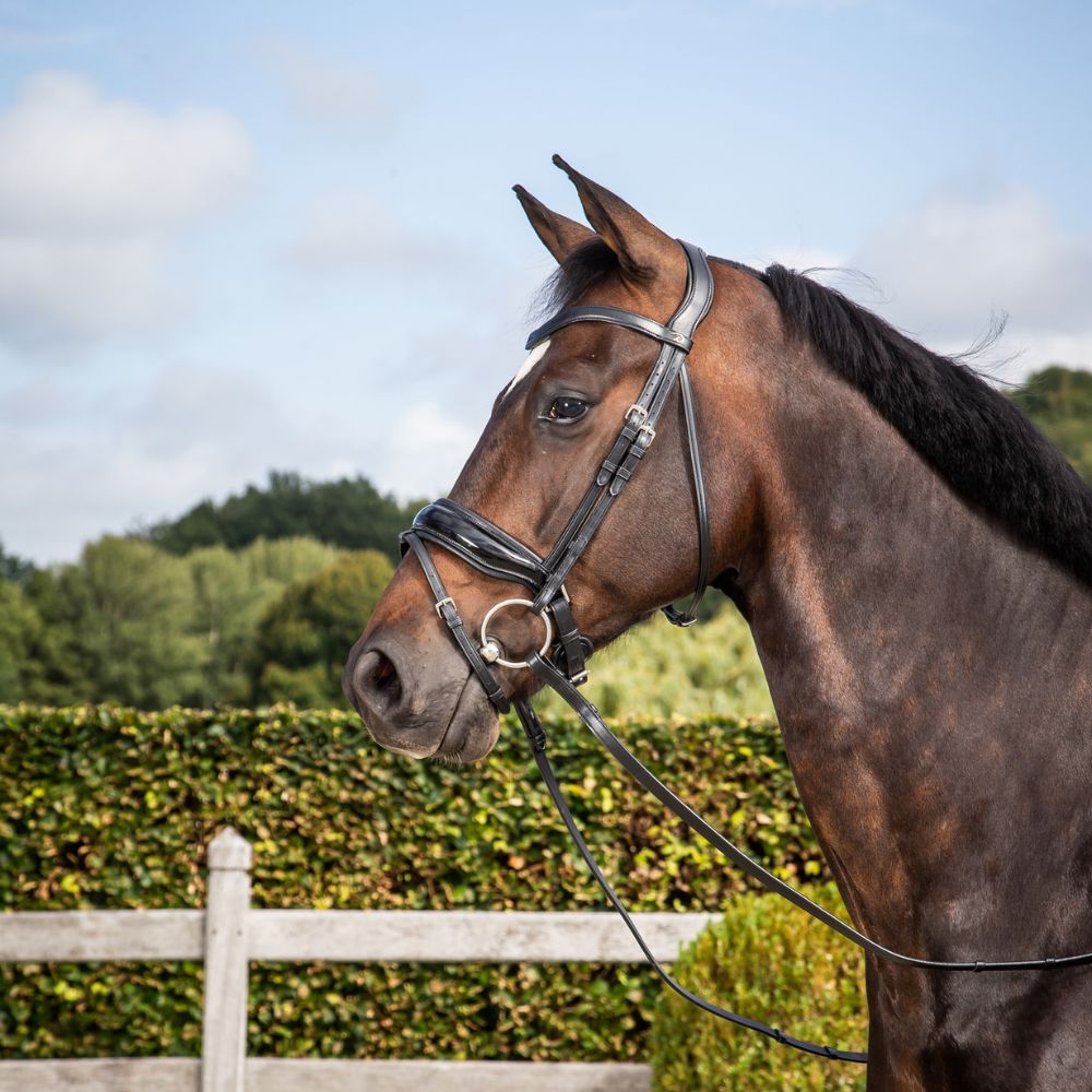 Dressage Patent Large Crank Noseband Bridle with Flash