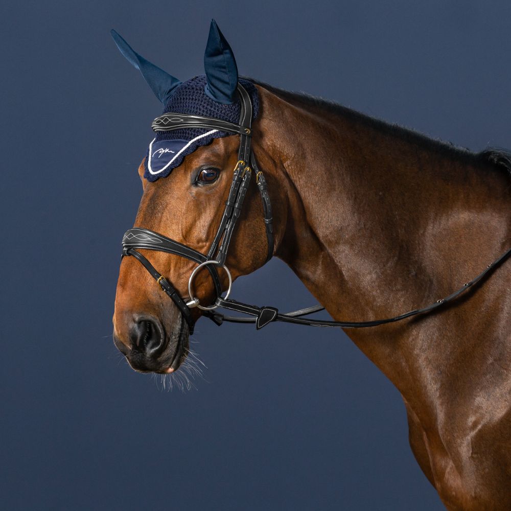 D Collection Anatomic Flash Noseband Bridle