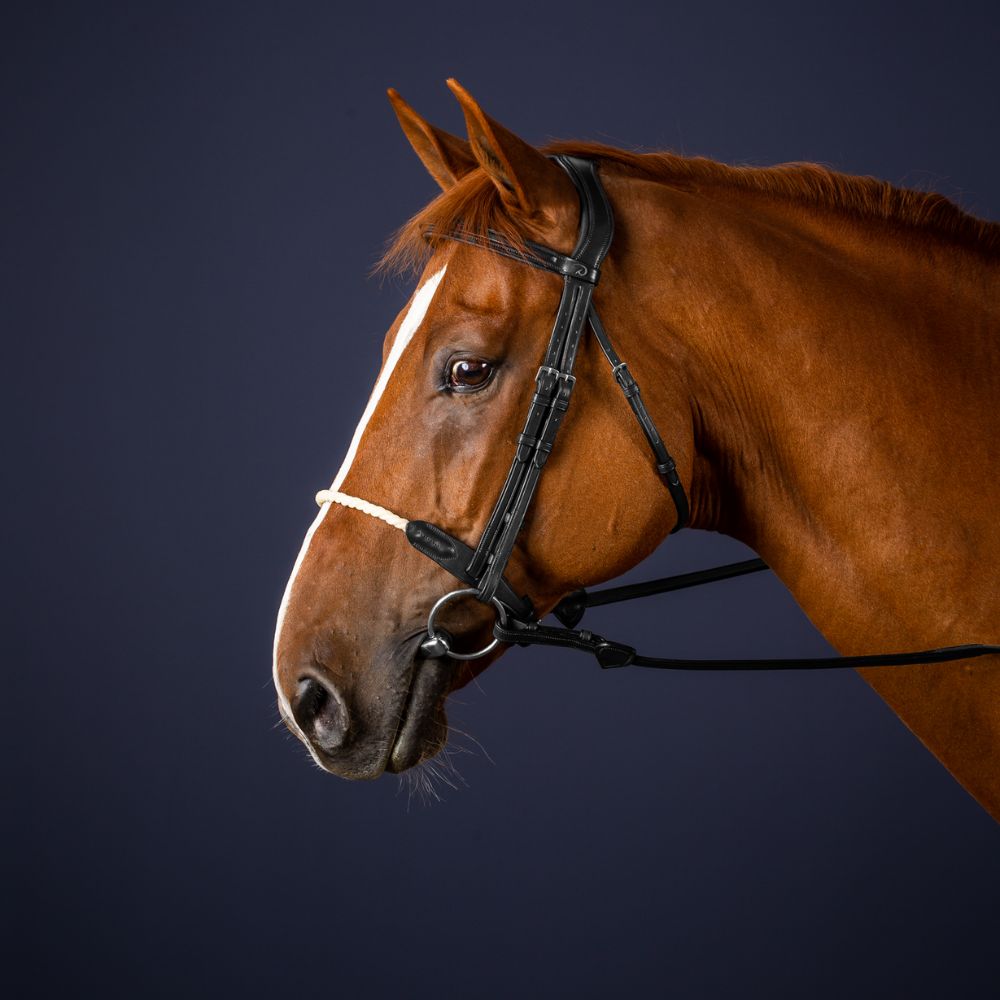 New English Rope Noseband Bridle