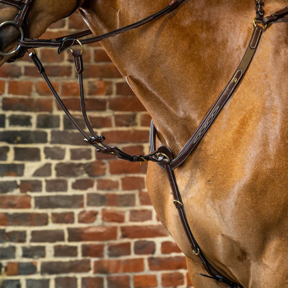 D Collection Elastic Running Martingale Attachment