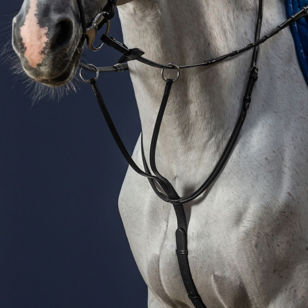 New English Running Martingale