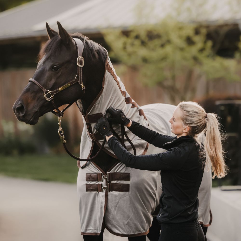 Mesh Fly Rug Classic With Neck