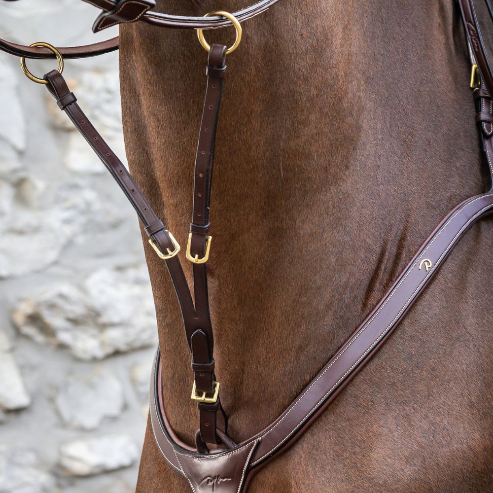 D Collection Running Martingale Attachment