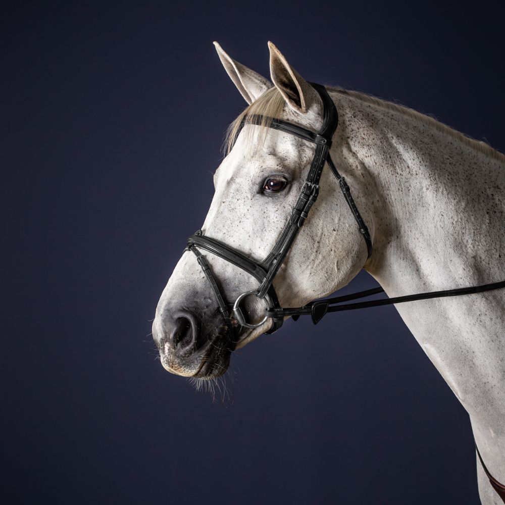 New English Flash Noseband Bridle