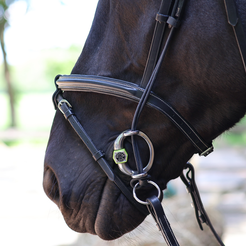 Flexi Soft Mullen Gag