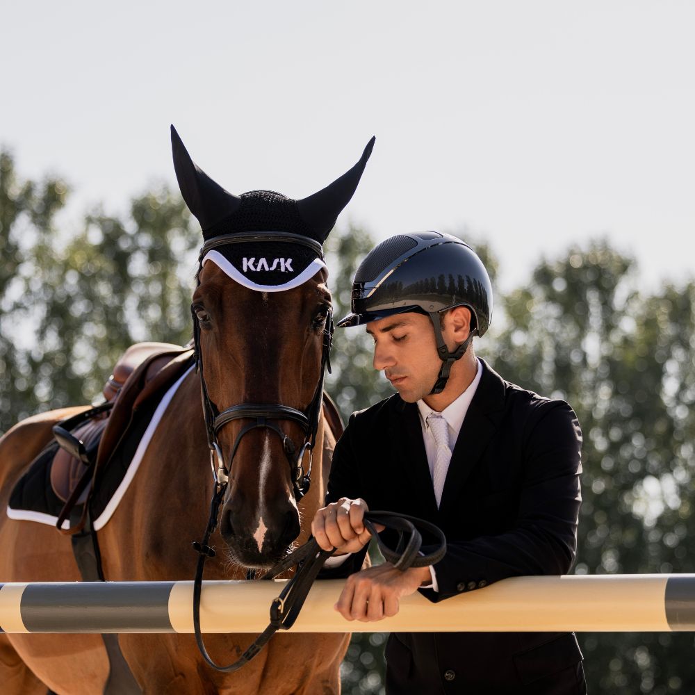 Dogma Pure Shine | Anthracite