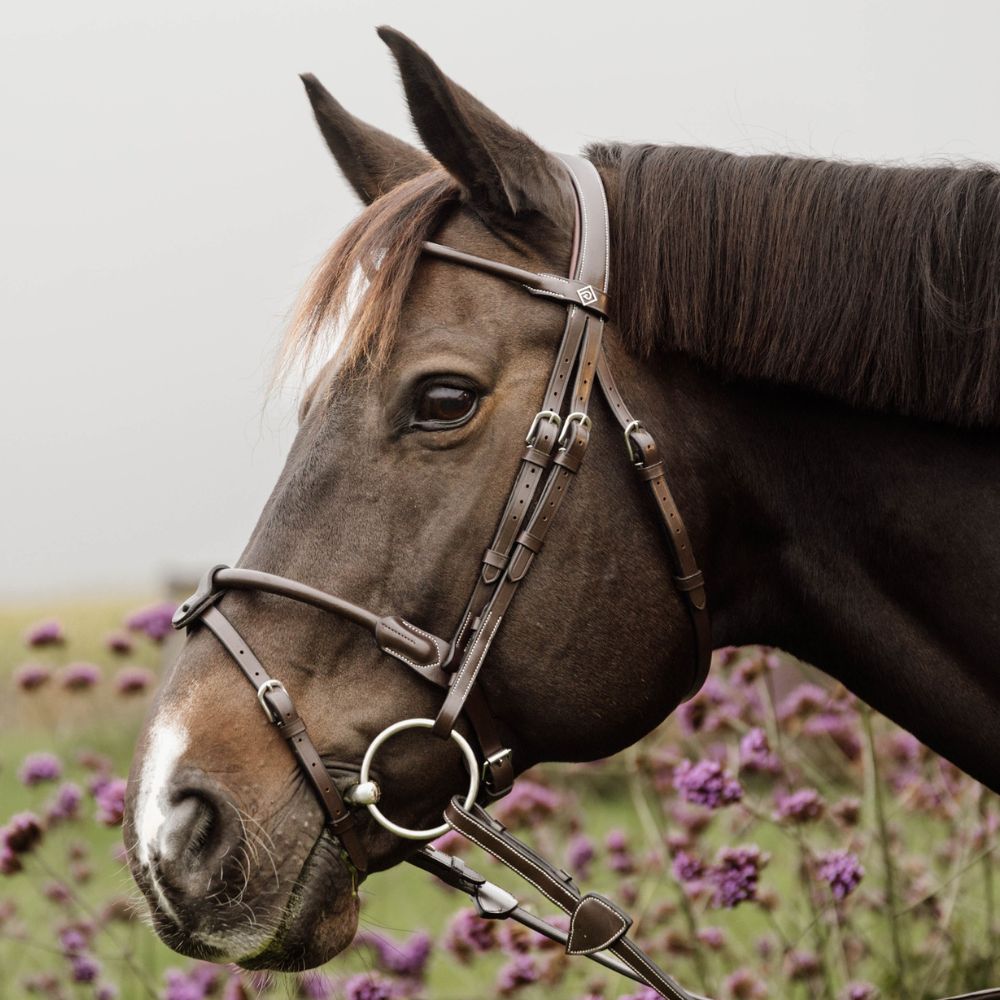 Working Collection Round Leather Bridle
