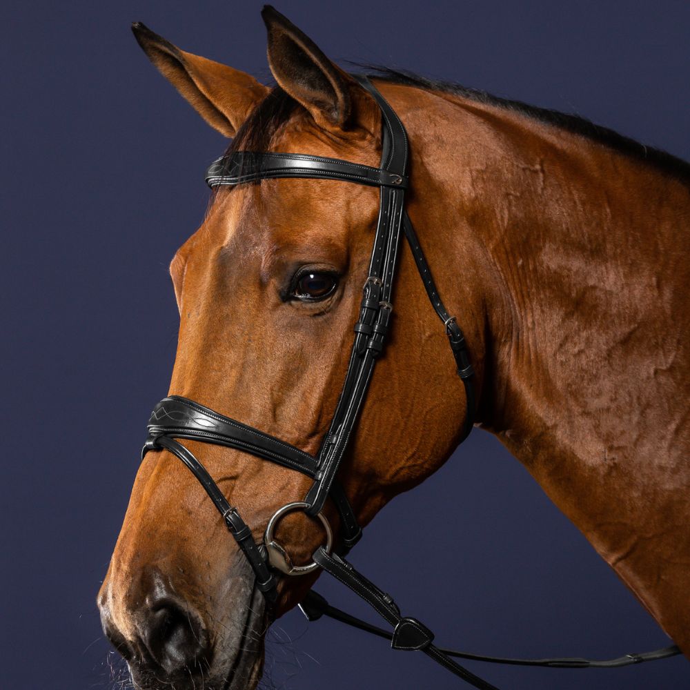 New English Anatomic Flash Noseband Bridle