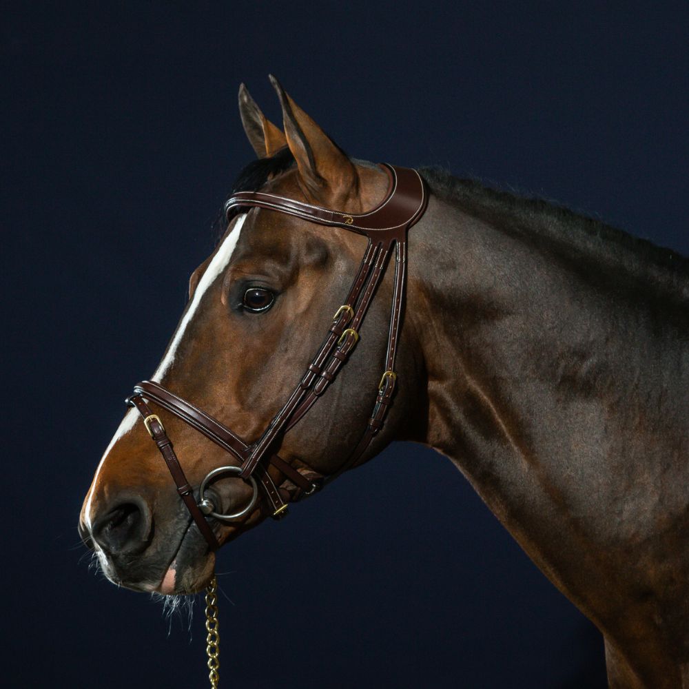 D Collection Difference Bridle