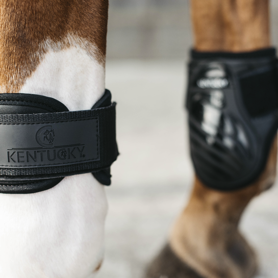 Young Horse Fetlock Boots