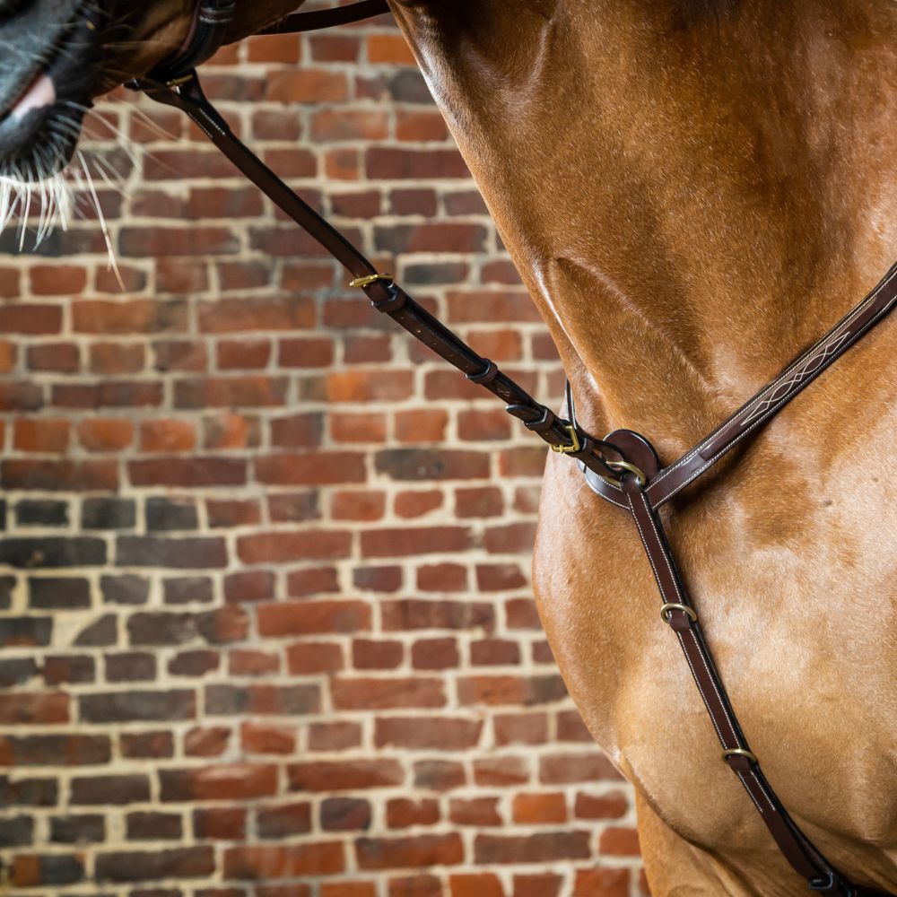 D Collection Standing Martingale Attachment