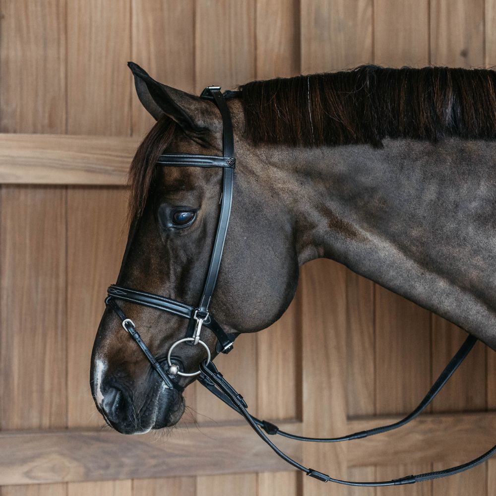 Working Collection Training Bridle
