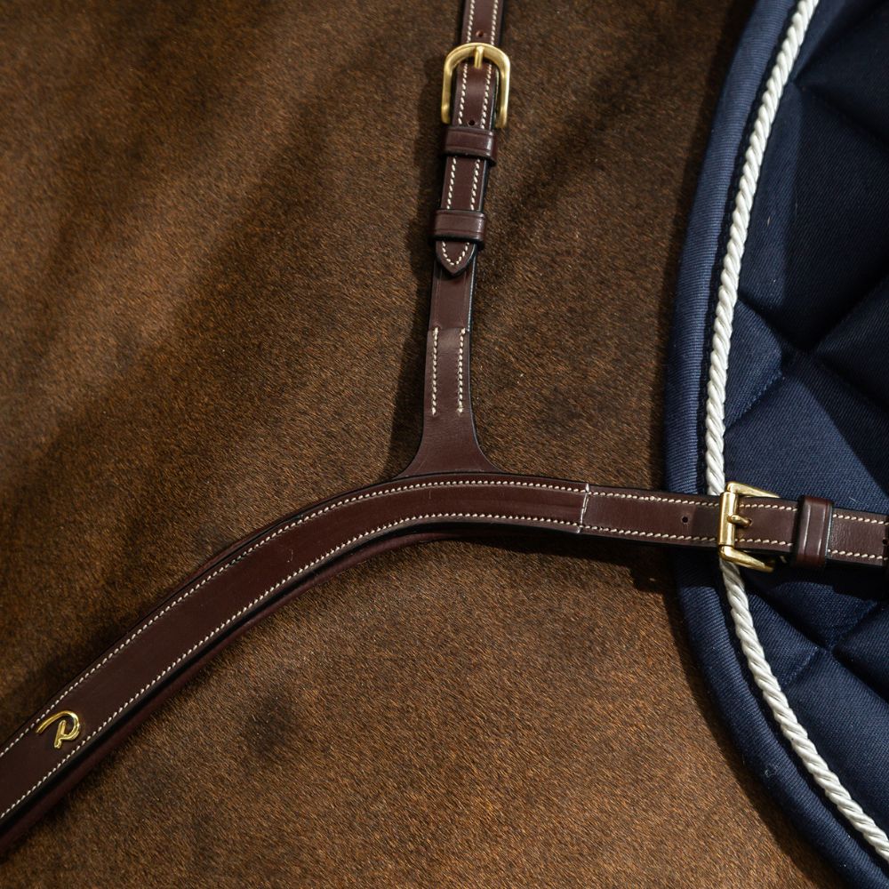 D Collection Long Bridge Breastplate