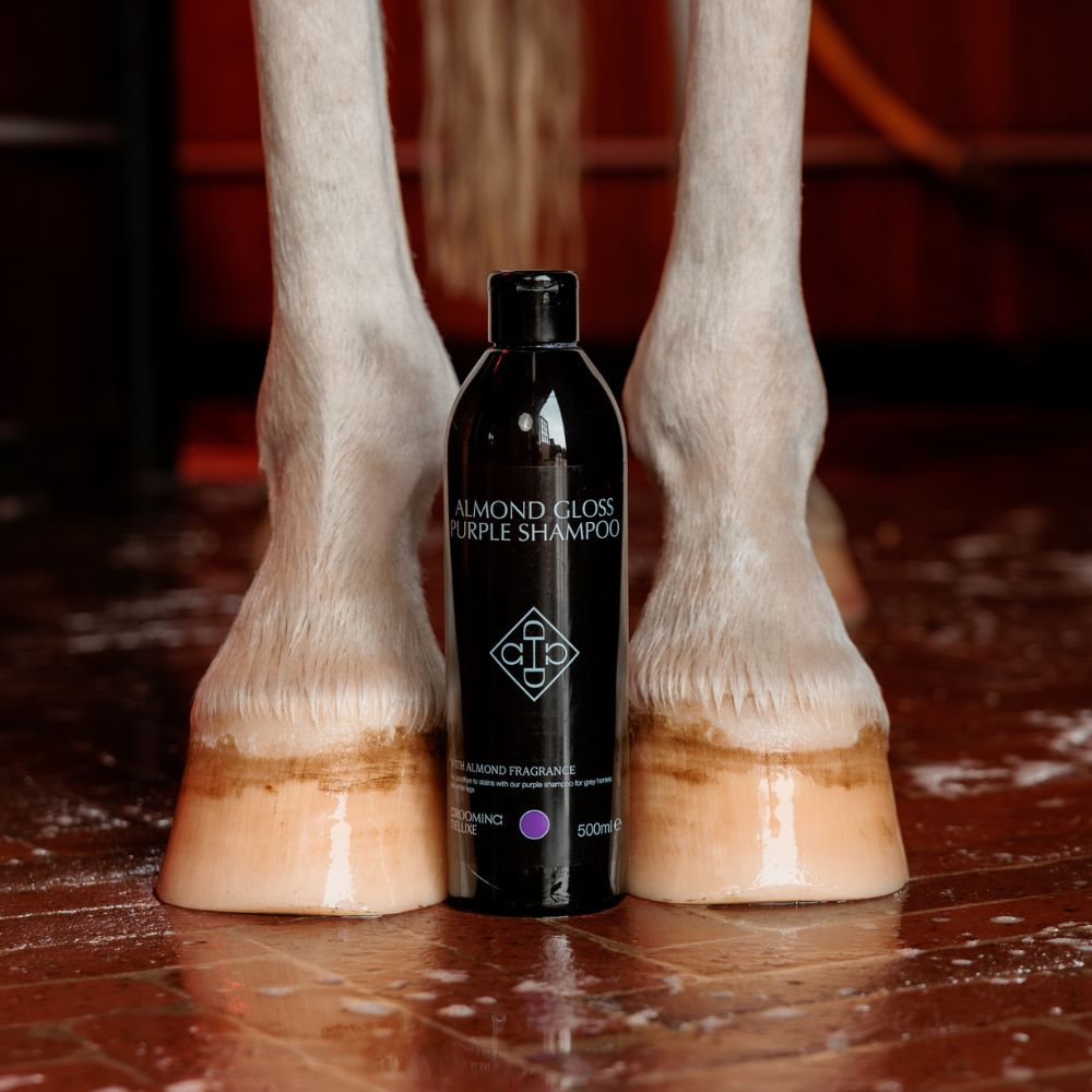 Almond Gloss Purple Shampoo | 500ml