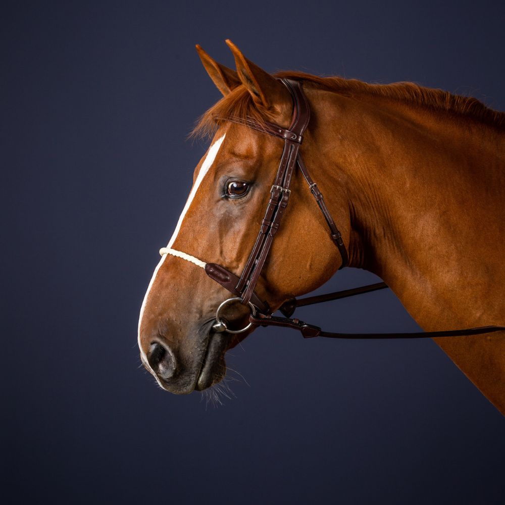 New English Rope Noseband Bridle