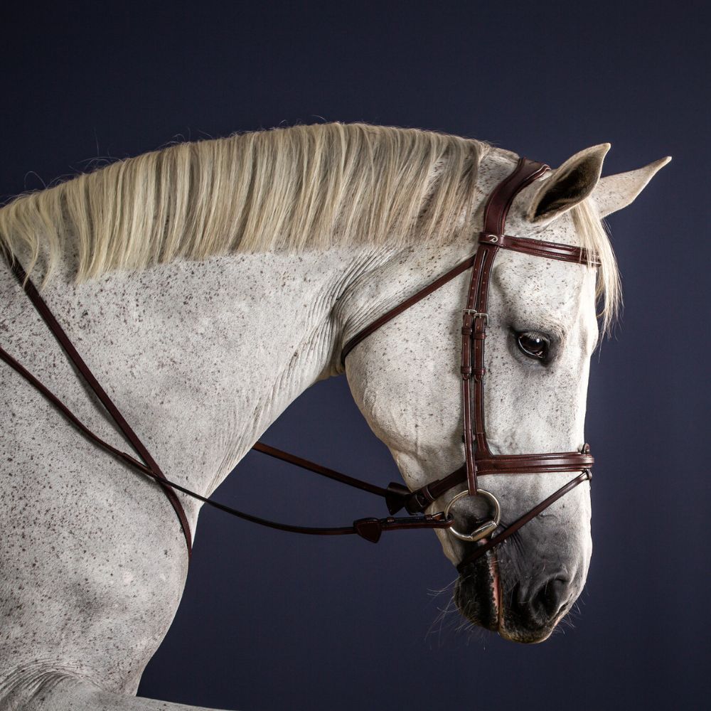 New English Flash Noseband Bridle