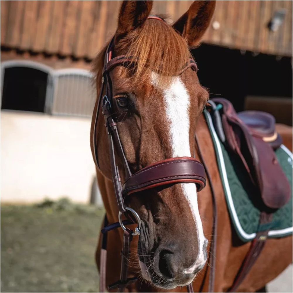 Crystal Makila Bridle