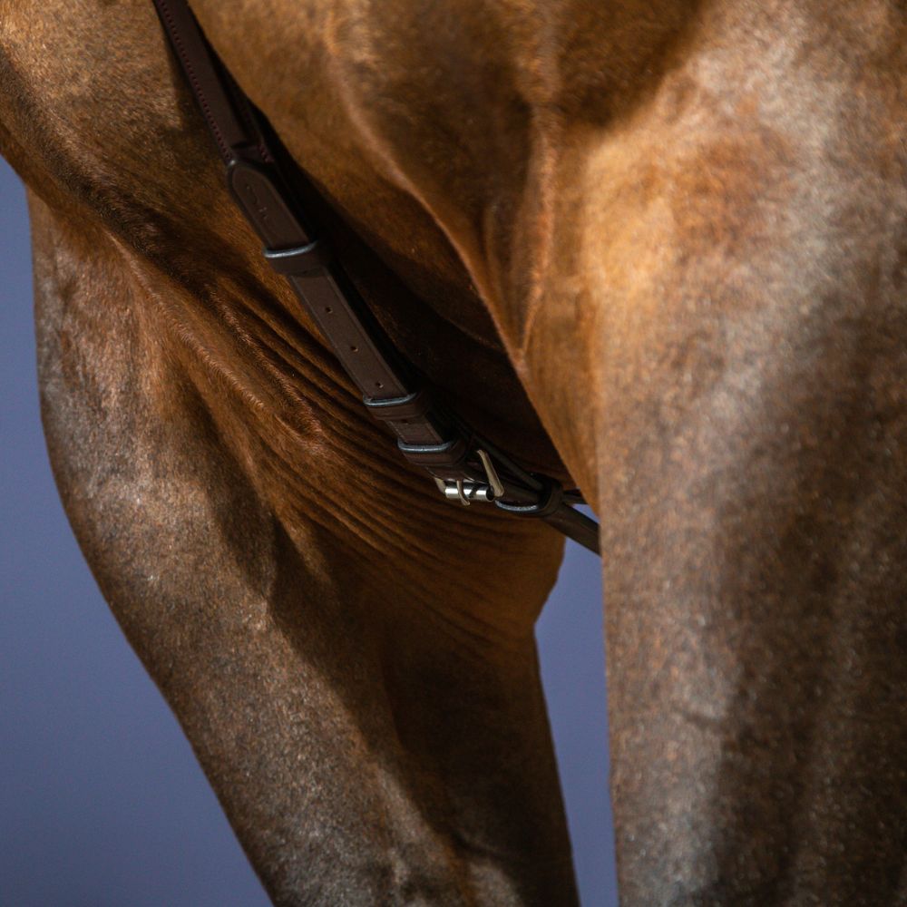 New English Bridge Breastplate