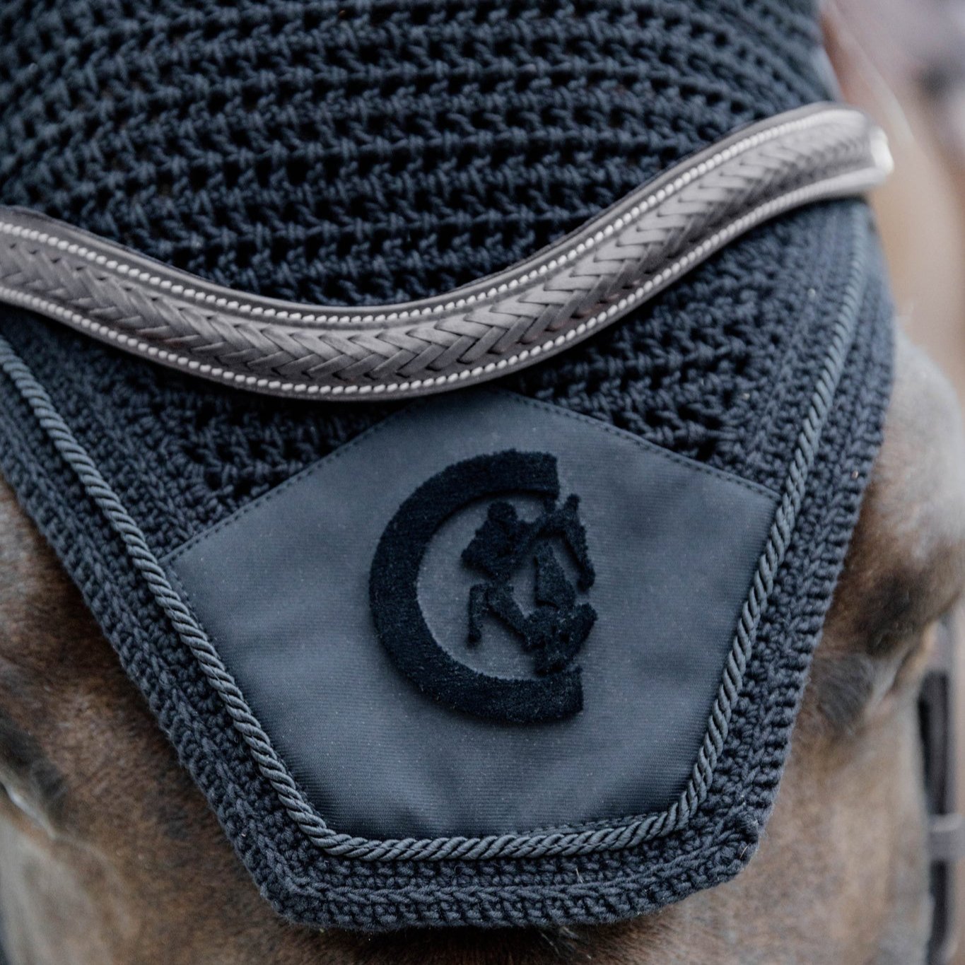 D Collection Plaited Flash Noseband Bridle with Pull Back