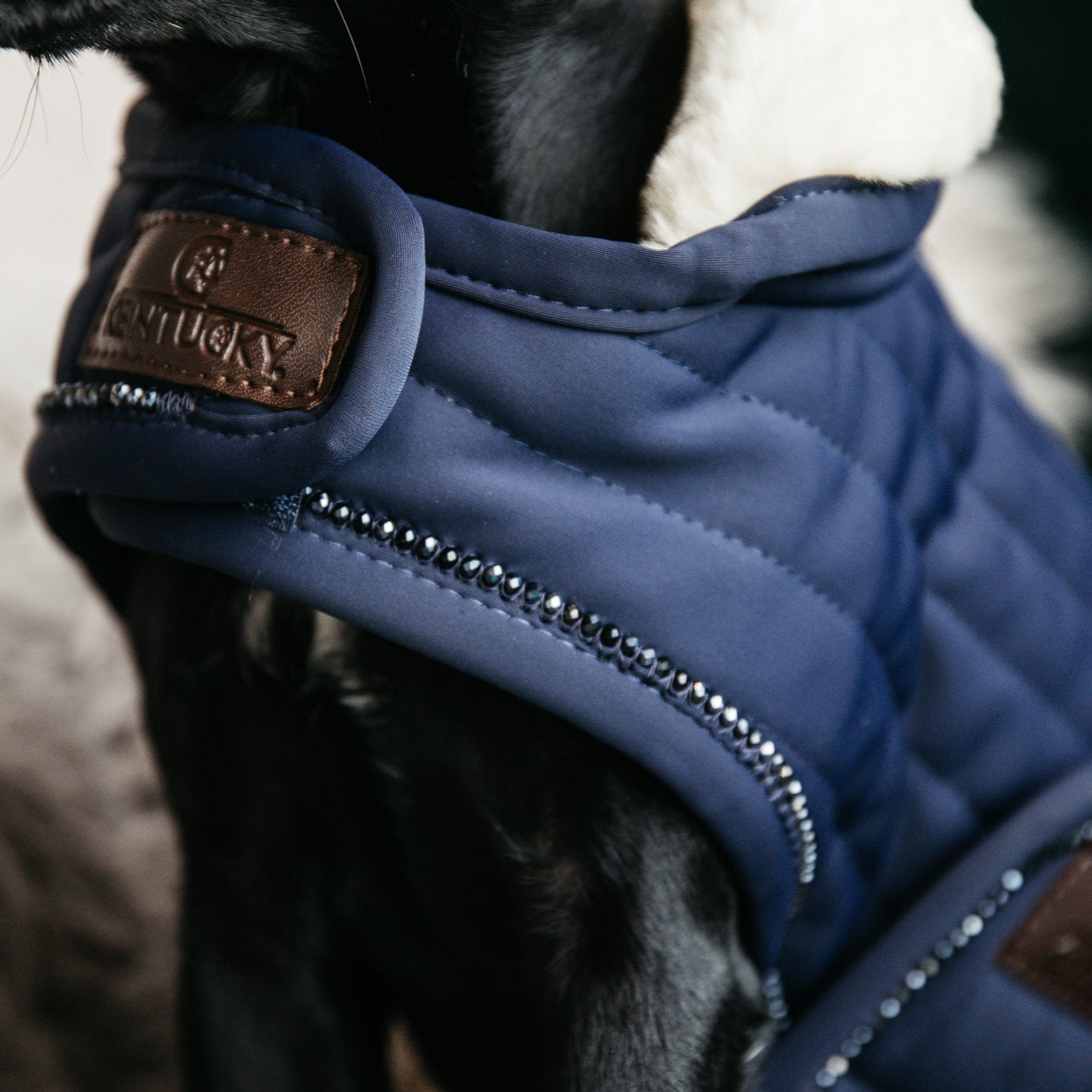 Dog Coat Pearls | Navy (LAST ONE - MEDIUM)