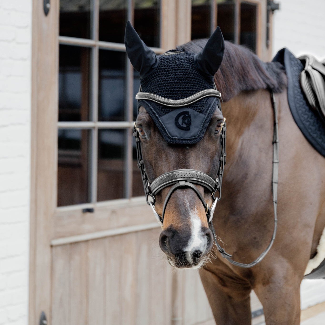 D Collection Plaited Flash Noseband Bridle with Pull Back