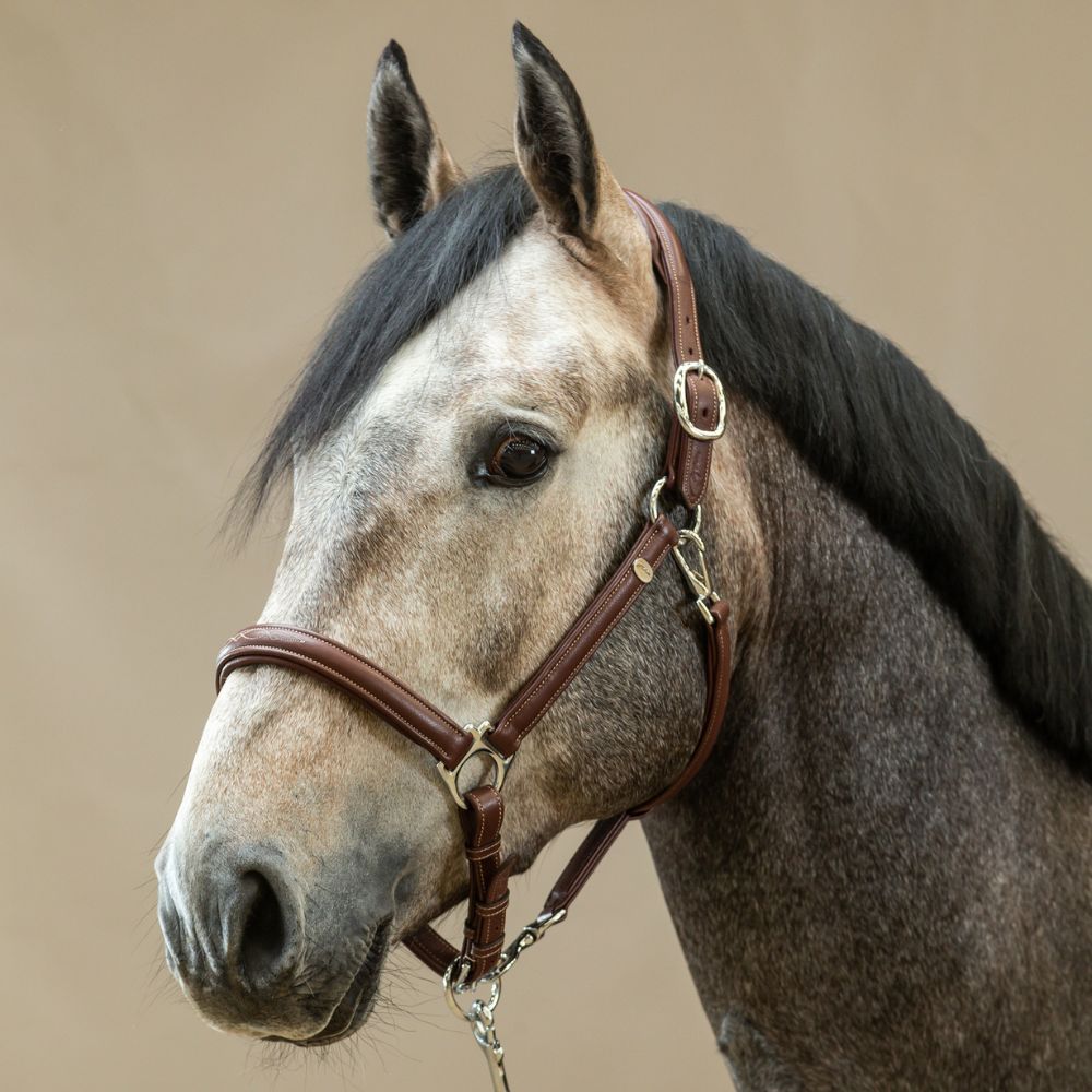Working Collection Soft Leather Headcollar