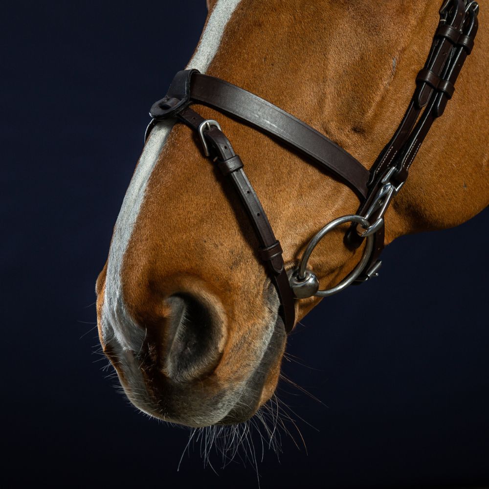 Working Collection Flat Leather Bridle with Snap Hooks