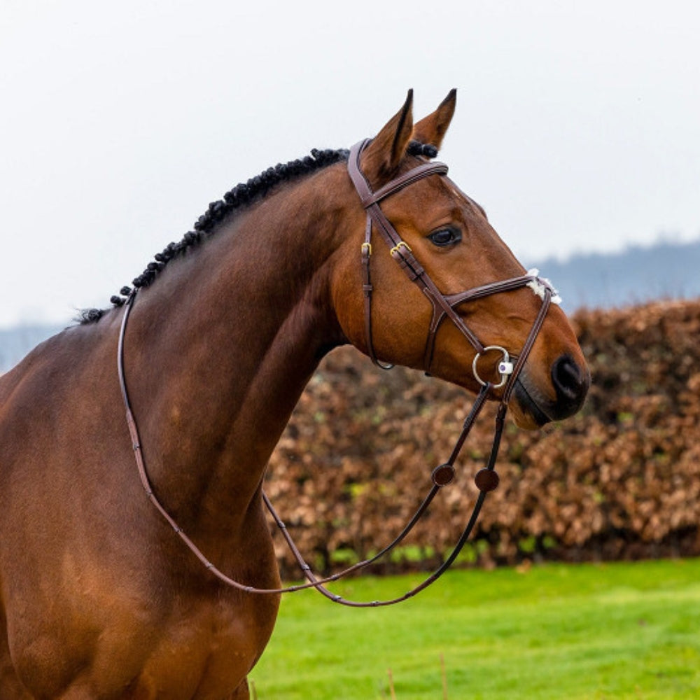 Oslo Fig 8 Noseband Bridle