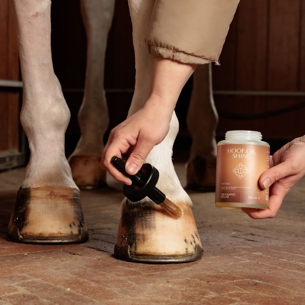 Hoof Oil Shine | Natural