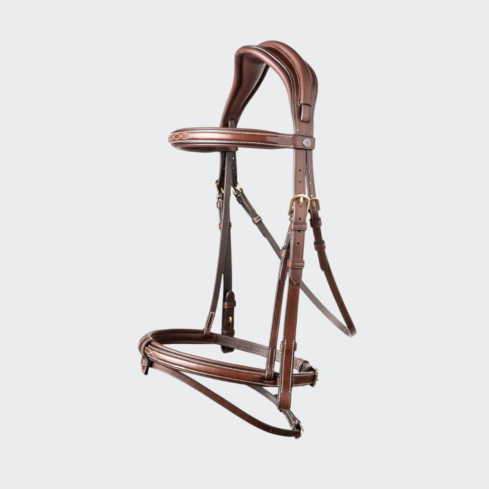 Geneva Noseband Bridle