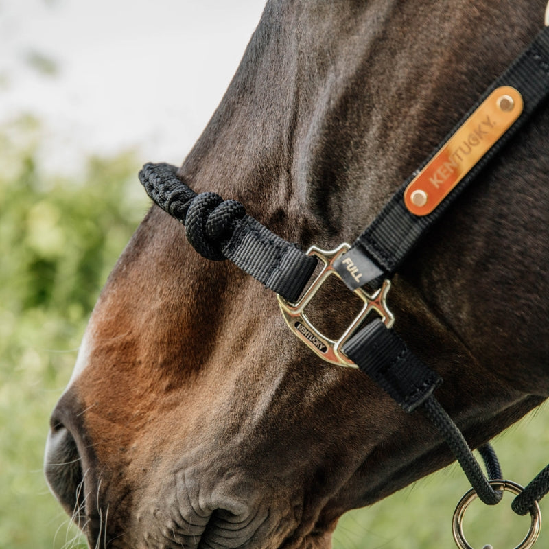 Control Headcollar | Black