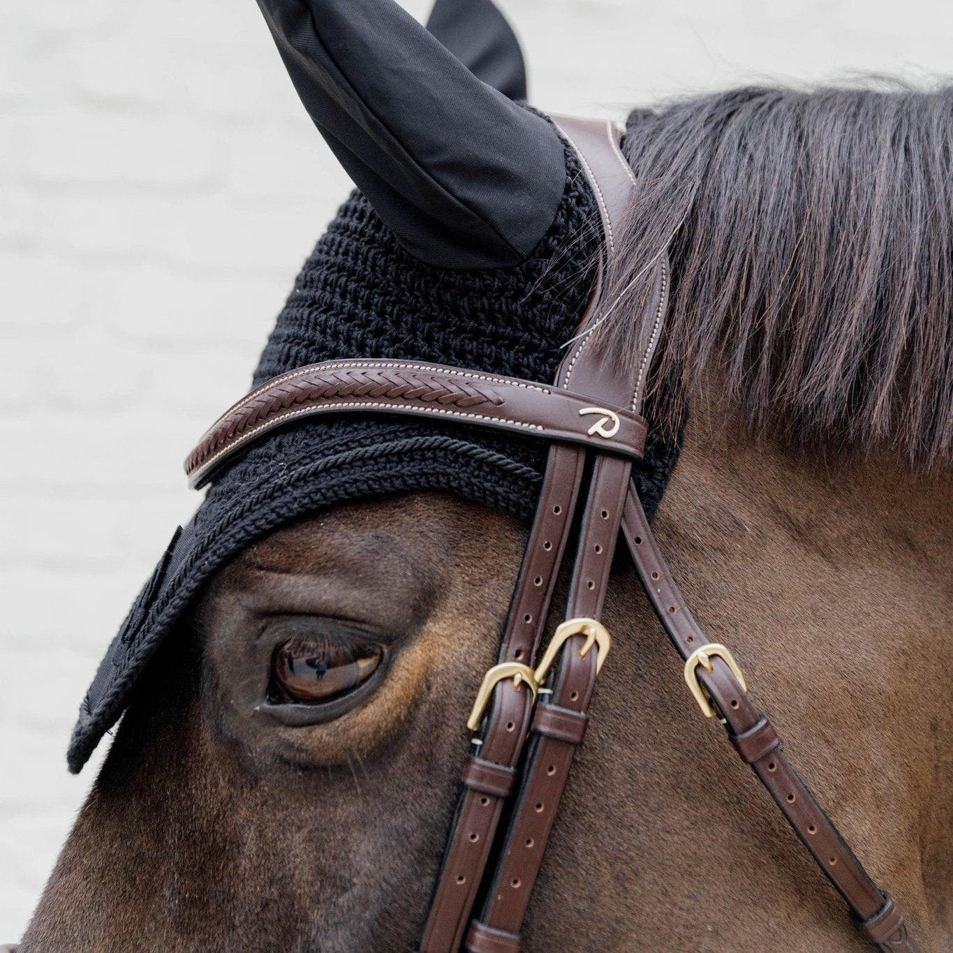 D Collection Plaited Flash Noseband Bridle with Pull Back