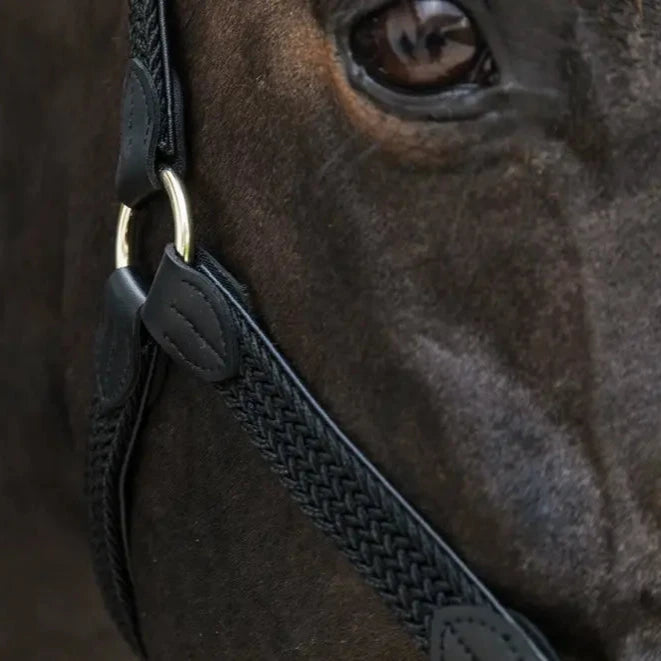 Plaited Nylon Headcollar - Black