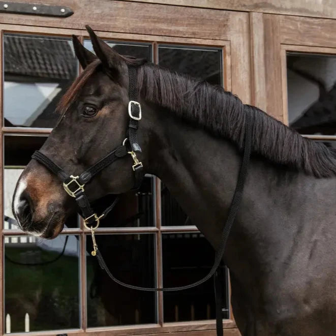 Plaited Nylon Headcollar - Black
