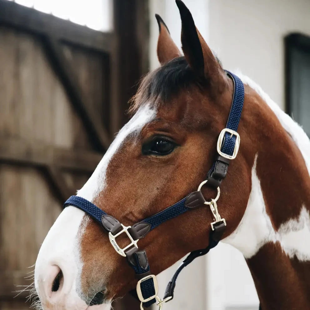 Plaited Nylon Headcollar - Navy