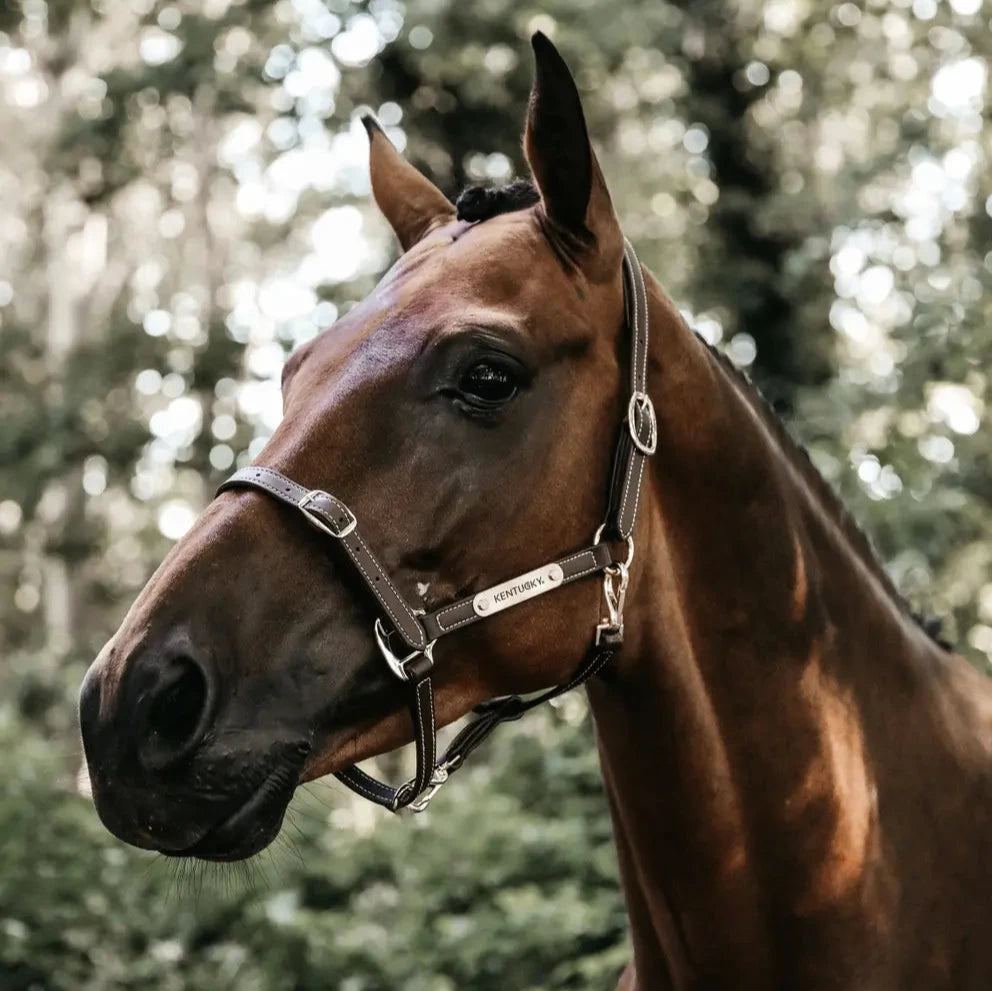 Leather Headcollar Flexible - Brown