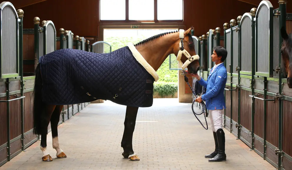 Show Rug - Navy