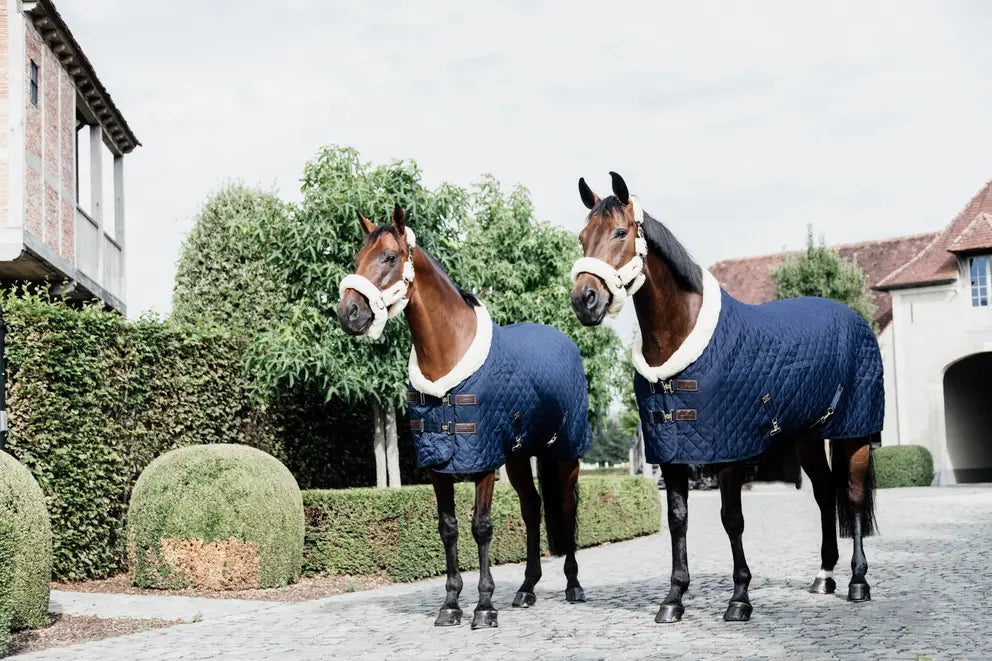 Show Rug - Navy