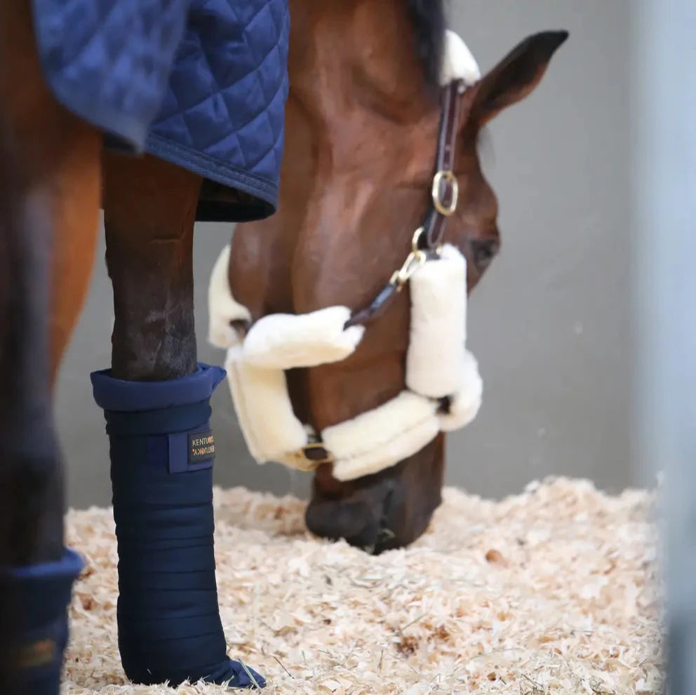 Stable Wraps - Set of 4 - Navy