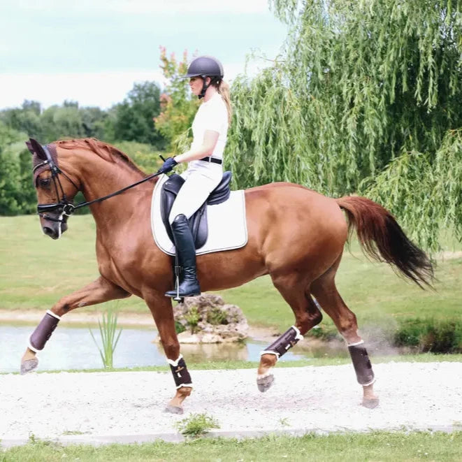 Turnout Boots Leather Hind