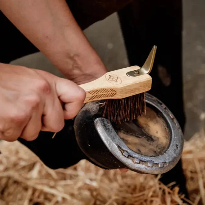 Hoof Pick
