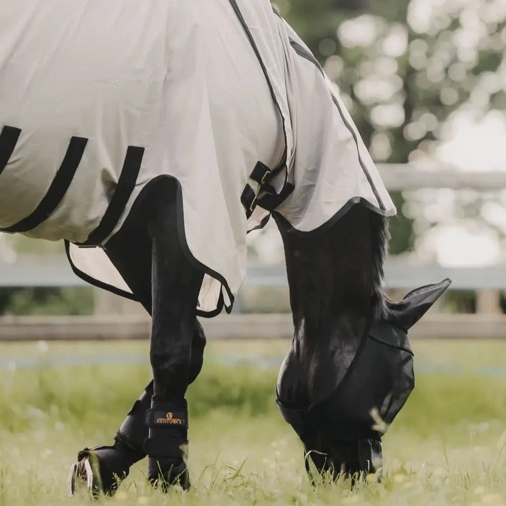Mesh Fly Rug With Neck